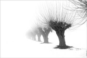 forme-del-desiderio