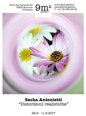 sachaAntonietti