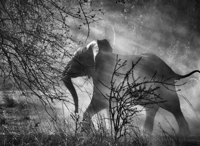 © Sebastião Salgado/Amazonas Images/Contrasto